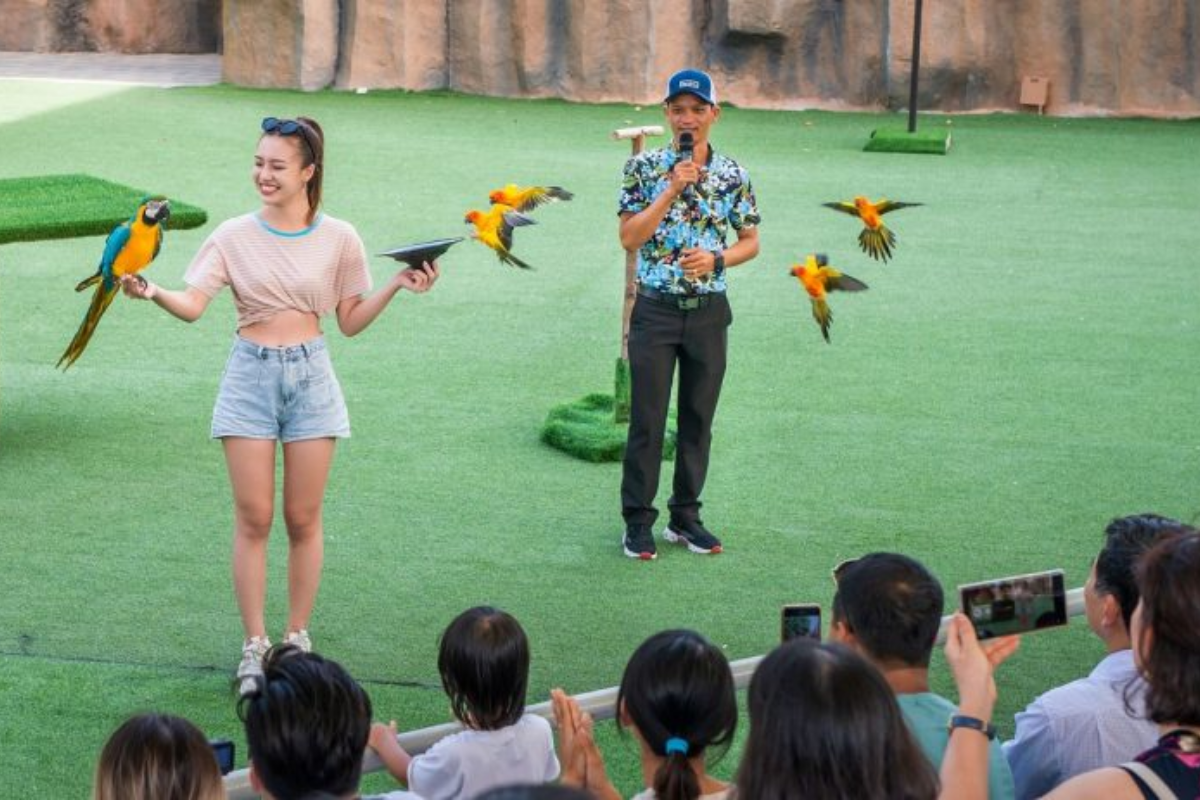 COMBO VINPEARL NHA TRANG TRỌN GÓI – KHÁM PHÁ KING’S GARDEN THIÊN ĐƯỜNG THẾ GIỚI ĐỘNG VẬT