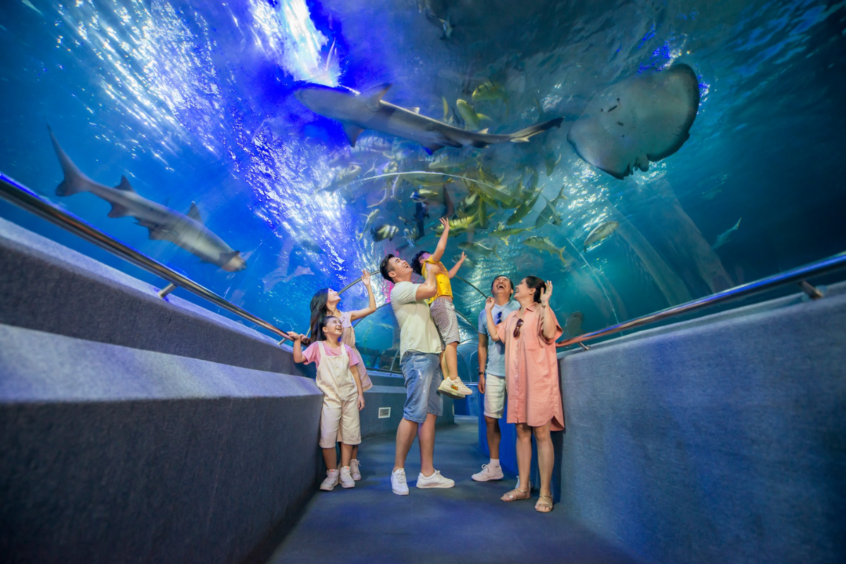 Thủy cung Sea World (Ảnh Sưu tầm)