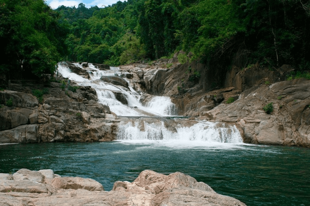 toan-canh-rung-nui-thac-yang-bay-anh_-suu-tam Toàn cảnh rừng núi Thác Yang Bay (Ảnh_ Sưu tầm)