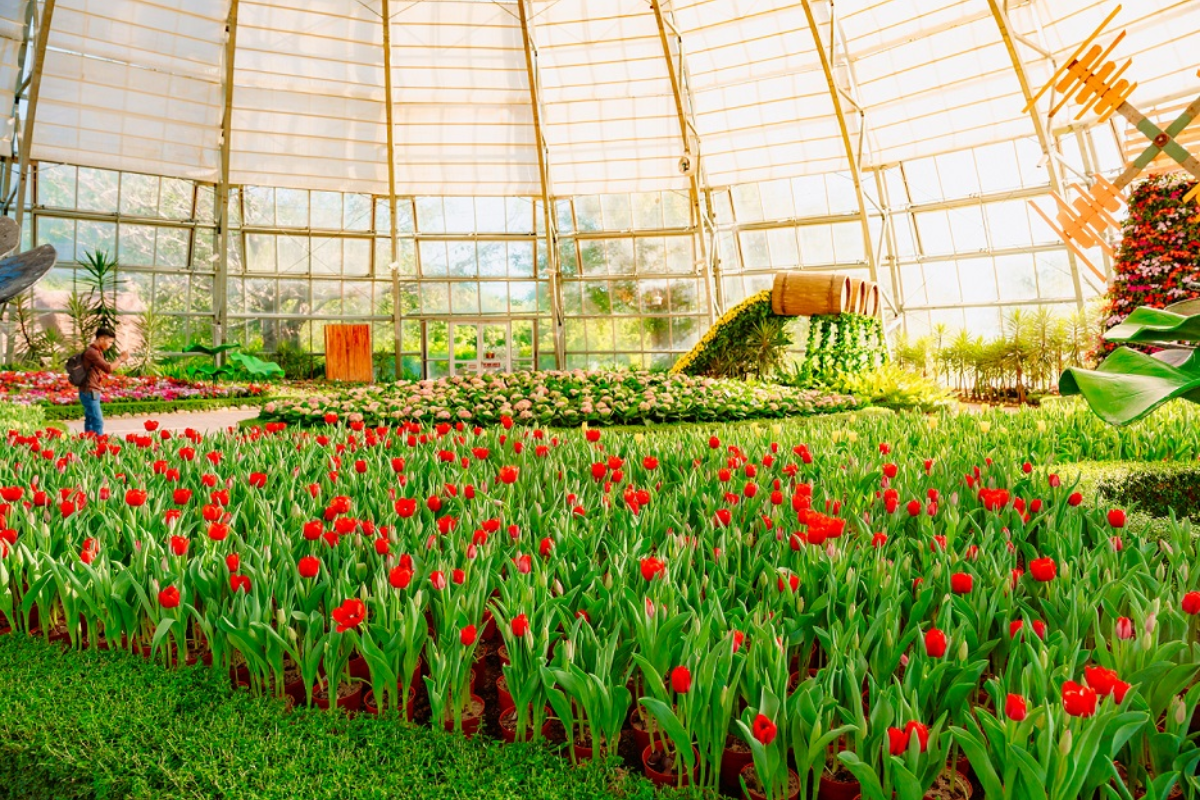 World Garden tại VinWonders Nha Trang (Ảnh_ Sưu tầm)